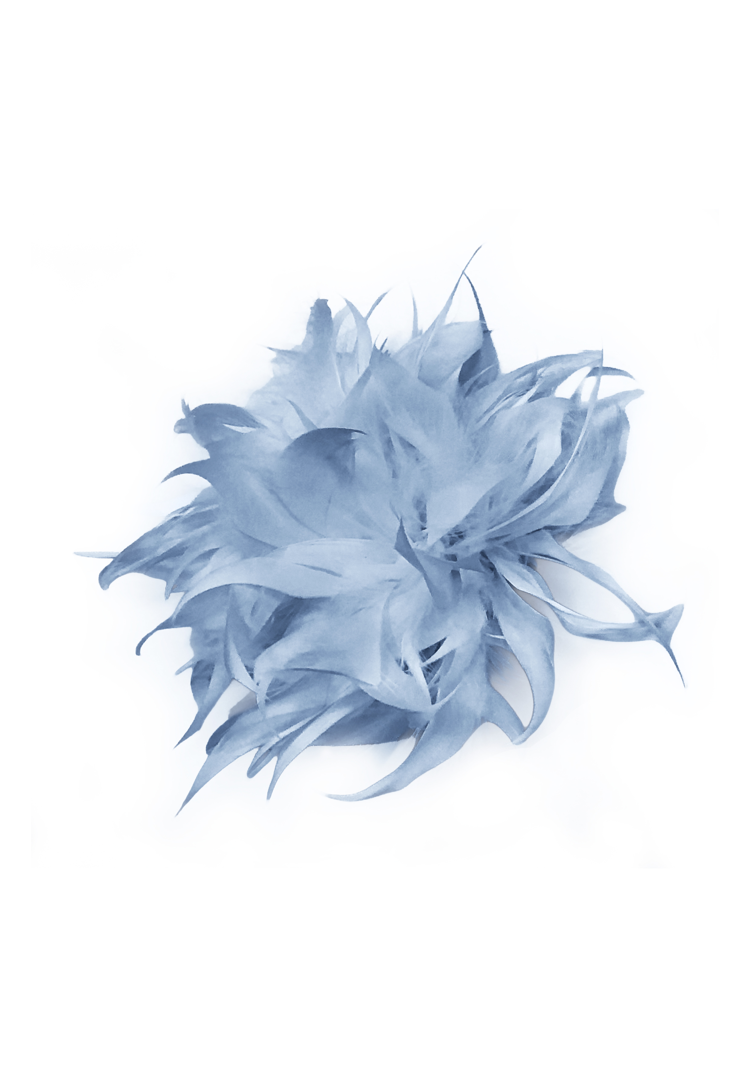 Eine zarte, in Blautönen gehaltene abstrakte Blume mit langen, spitzen Blütenblättern breitet sich vor einem weißen Hintergrund aus.